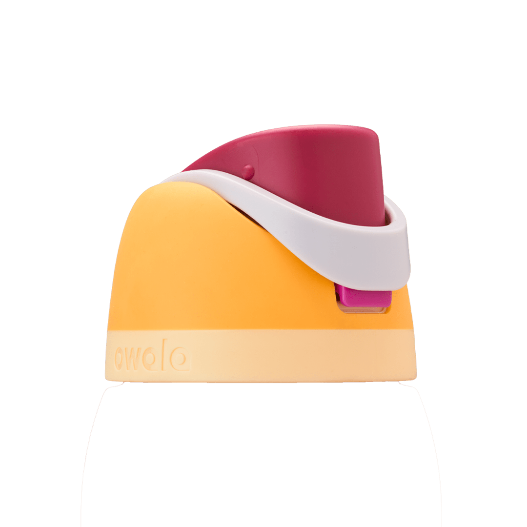 Replacement Lids [9139]