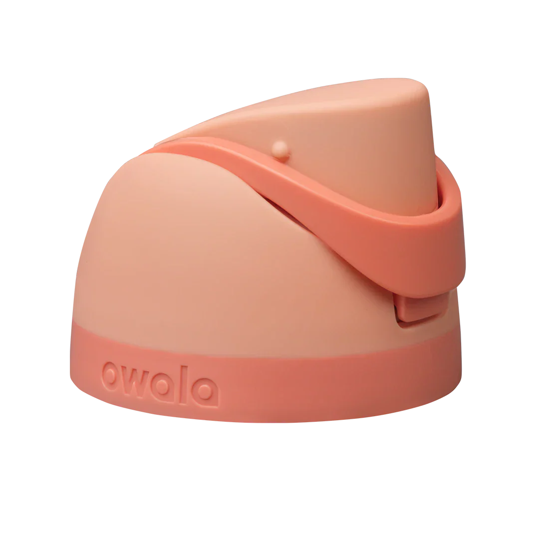 Replacement Lids [9139]