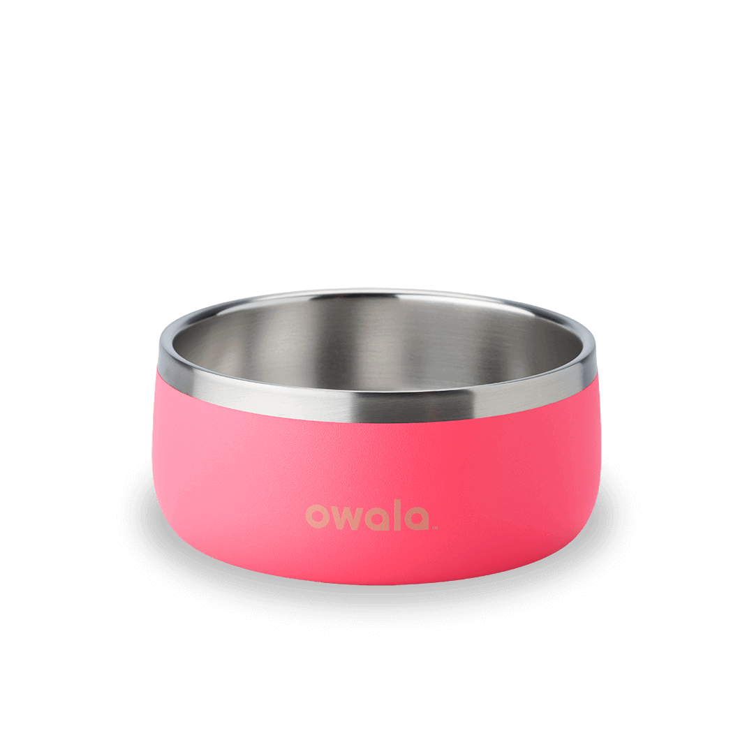 Pet Bowl [0T0X]